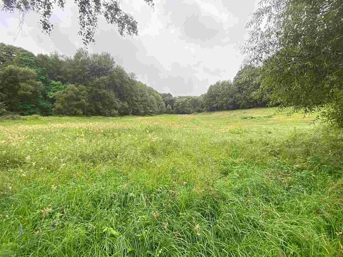 Prodej pozemku 1500 m²